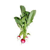 Hectarul - Seminte ridichi de luna Gaudry, 50 grame